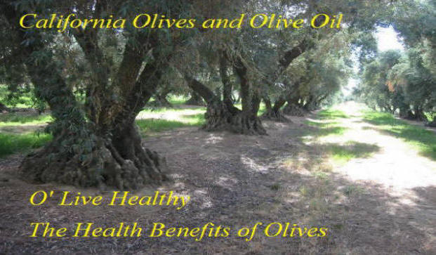 Large Olive Grove